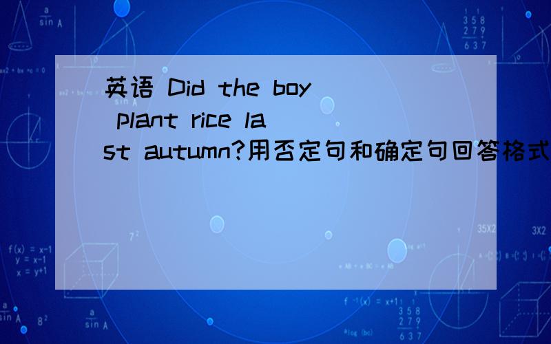 英语 Did the boy plant rice last autumn?用否定句和确定句回答格式是什么?