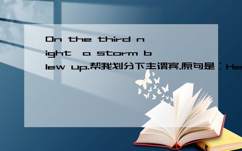 On the third night,a storm blew up.帮我划分下主谓宾.原句是：He slept very well for the first two nights,but on the third night,a storm blew up.