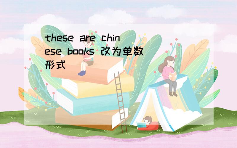 these are chinese books 改为单数形式