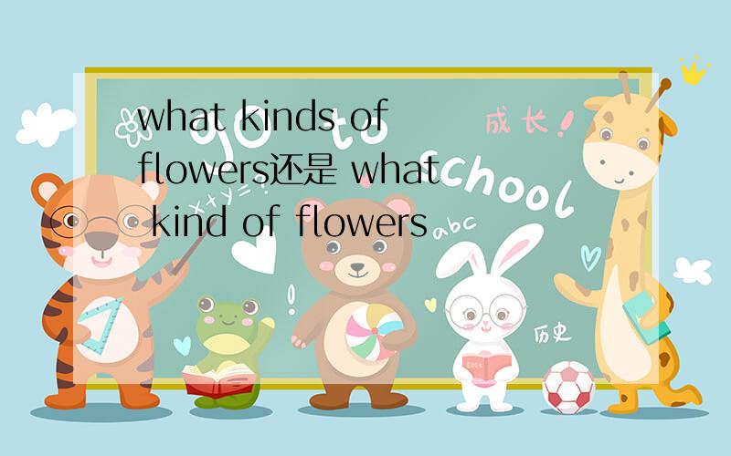 what kinds of flowers还是 what kind of flowers
