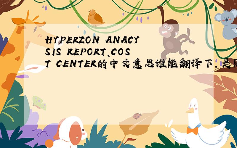 HYPERZON ANACYSIS REPORT、COST CENTER的中文意思谁能翻译下,是财务方面的