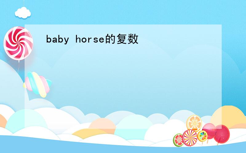 baby horse的复数