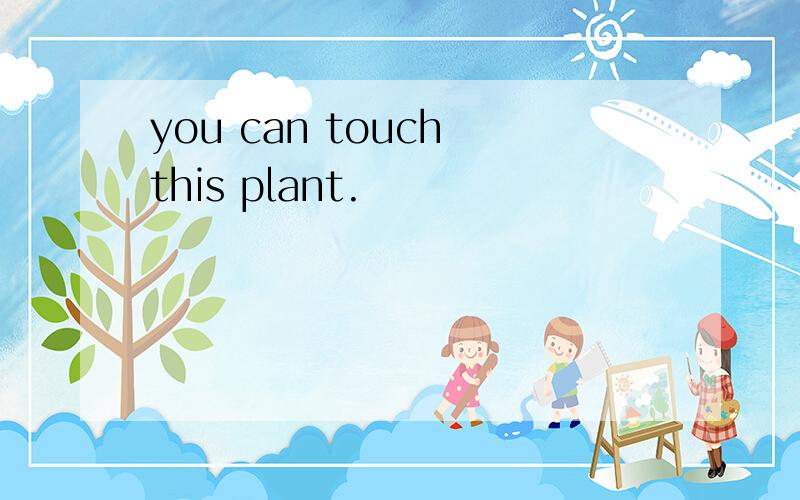 you can touch this plant.