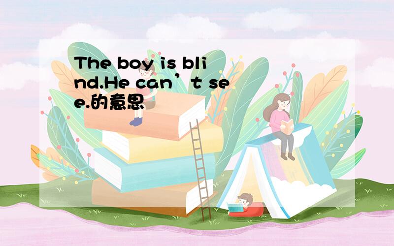 The boy is blind.He can’t see.的意思