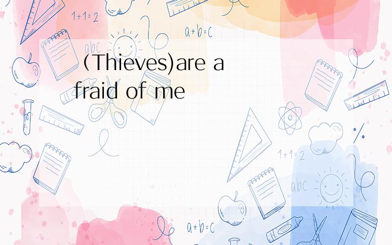 （Thieves)are afraid of me