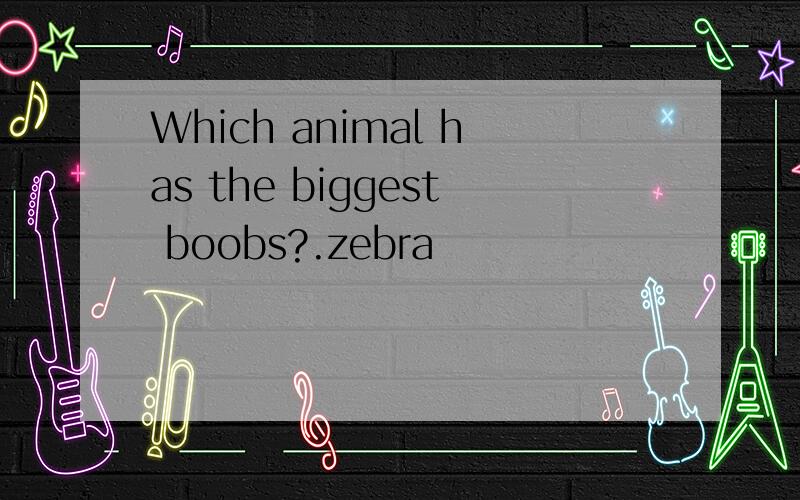 Which animal has the biggest boobs?.zebra