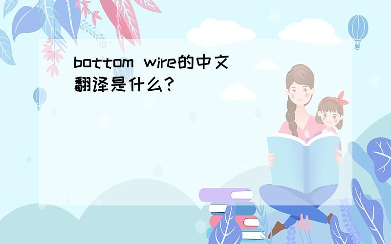 bottom wire的中文翻译是什么?