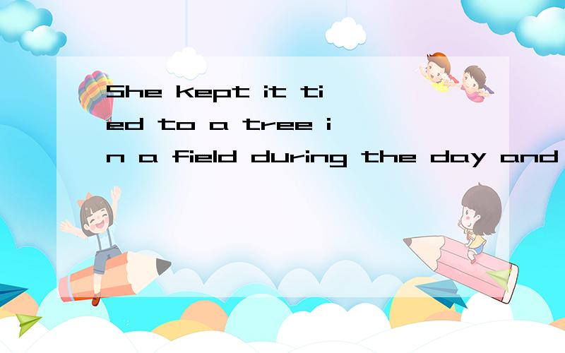She kept it tied to a tree in a field during the day and went to fetch it every evening怎么两个动词kept,tied