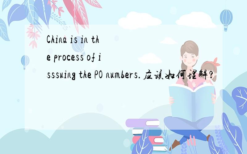 China is in the process of isssuing the PO numbers.应该如何理解?