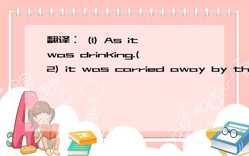 翻译； (1) As it was drinking.(2) it was carried away by the running water.