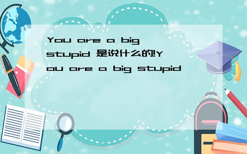 You are a big stupid 是说什么的!You are a big stupid