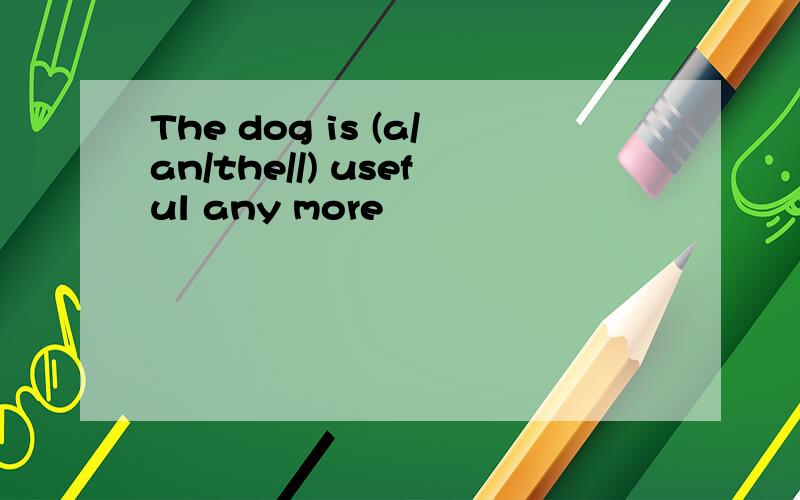 The dog is (a/an/the//) useful any more