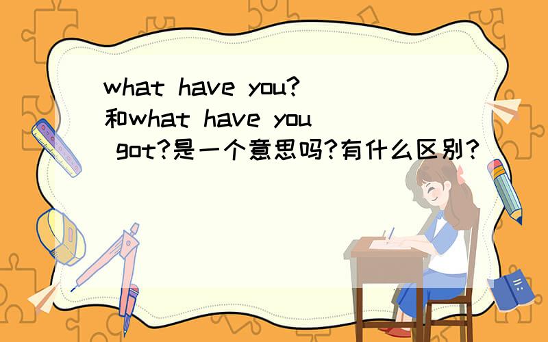 what have you?和what have you got?是一个意思吗?有什么区别?