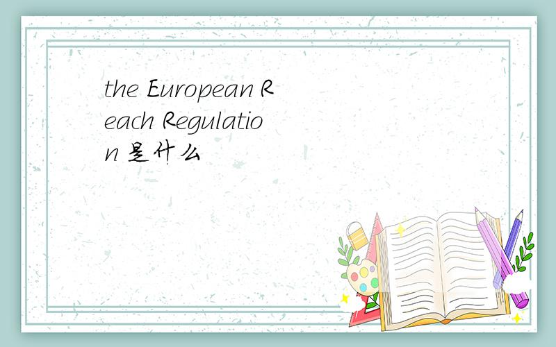 the European Reach Regulation 是什么