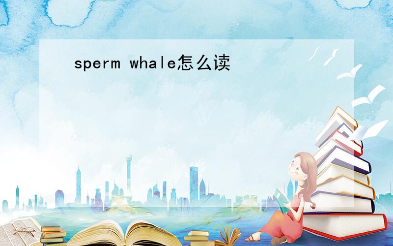 sperm whale怎么读