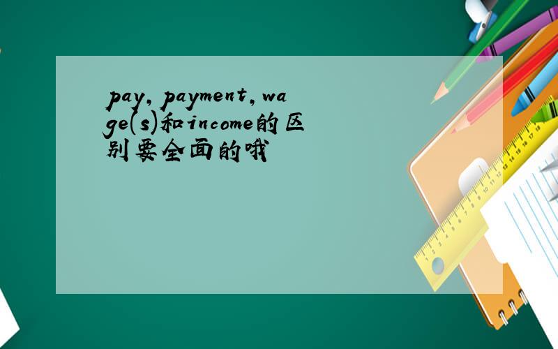 pay,payment,wage(s)和income的区别要全面的哦