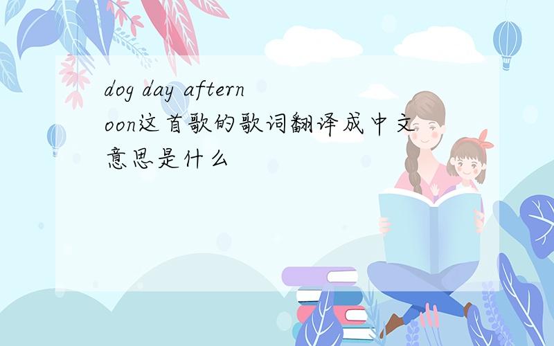 dog day afternoon这首歌的歌词翻译成中文意思是什么