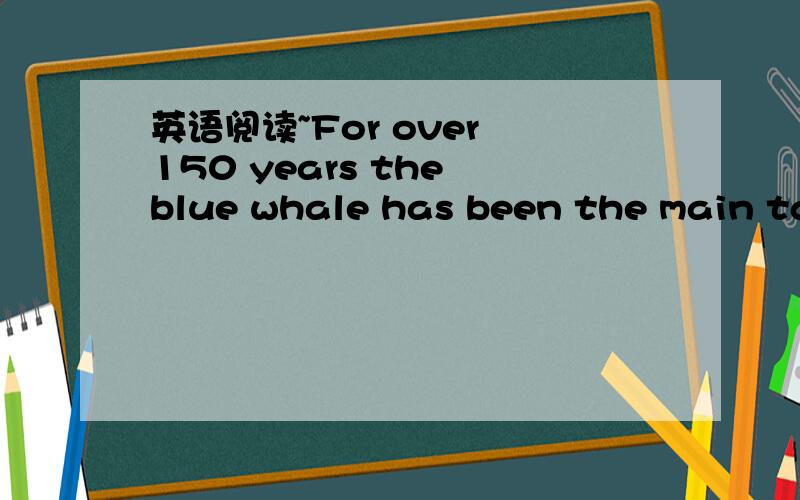 英语阅读~For over 150 years the blue whale has been the main target (目标) for whalers.And becauseof its big size,it was a very money-making catch,which makes them now an endangered species.There were as many as 100,000 of these giant animals s