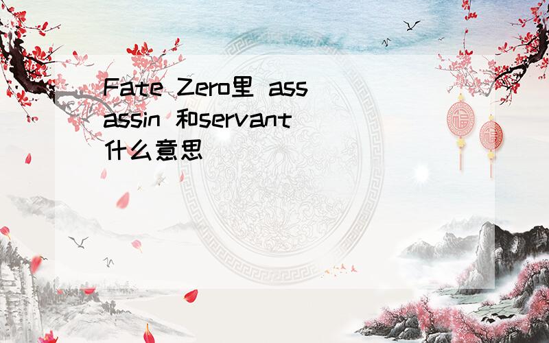 Fate Zero里 assassin 和servant什么意思