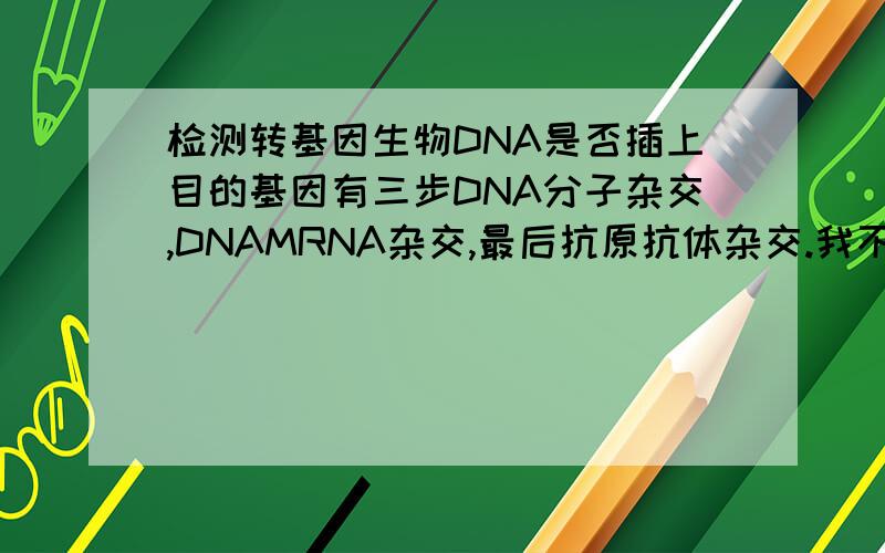 检测转基因生物DNA是否插上目的基因有三步DNA分子杂交,DNAMRNA杂交,最后抗原抗体杂交.我不是太明白是怎么回事.课本上说的比较笼统,