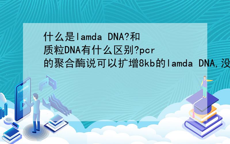 什么是lamda DNA?和质粒DNA有什么区别?pcr的聚合酶说可以扩增8kb的lamda DNA,没说质粒DNA.那我要pcr质粒的一个片段可以扩增多大的片段?