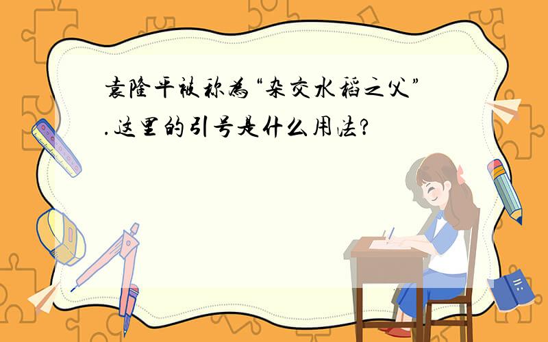 袁隆平被称为“杂交水稻之父”.这里的引号是什么用法?