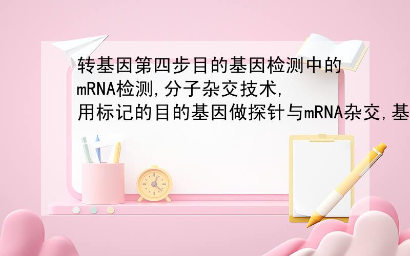 转基因第四步目的基因检测中的mRNA检测,分子杂交技术,用标记的目的基因做探针与mRNA杂交,基因如何与...转基因第四步目的基因检测中的mRNA检测,分子杂交技术,用标记的目的基因做探针与mRNA