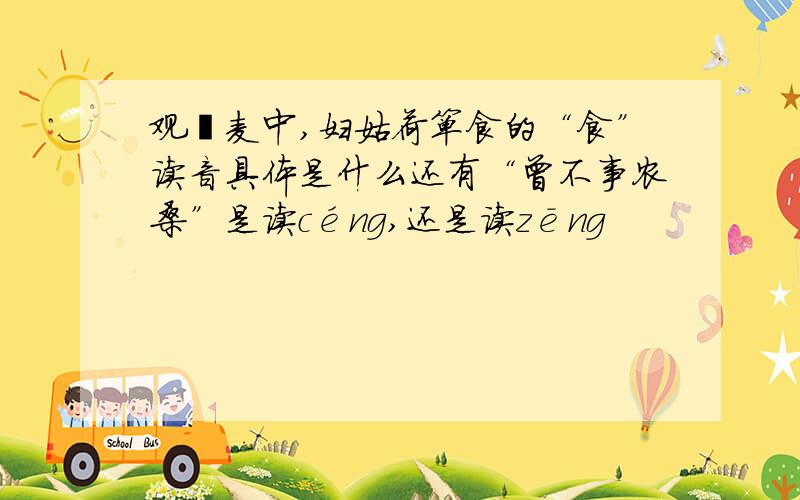 观刈麦中,妇姑荷箪食的“食”读音具体是什么还有“曾不事农桑”是读céng,还是读zēng
