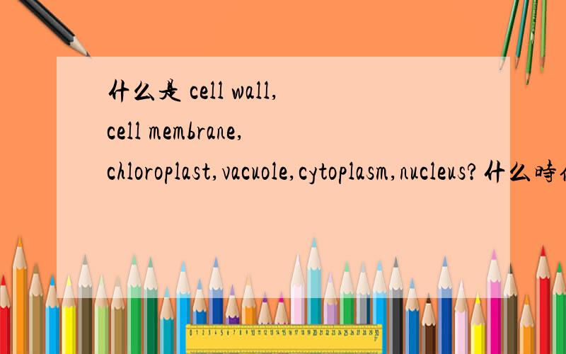 什么是 cell wall,cell membrane,chloroplast,vacuole,cytoplasm,nucleus?什么时候用到?