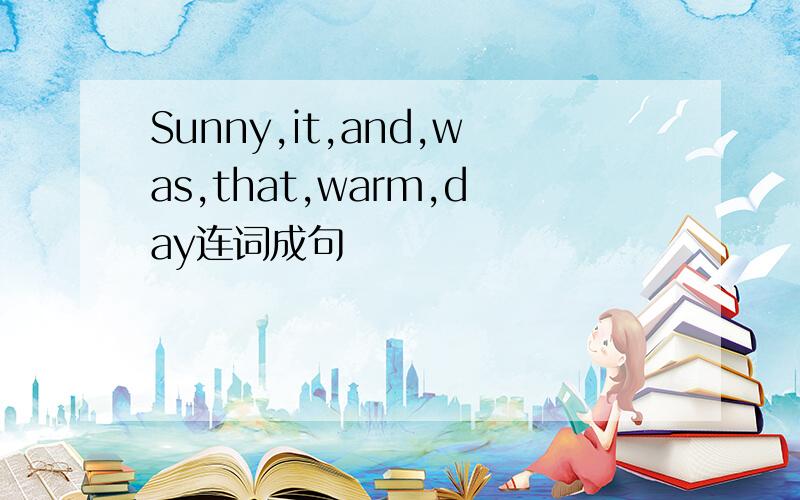 Sunny,it,and,was,that,warm,day连词成句