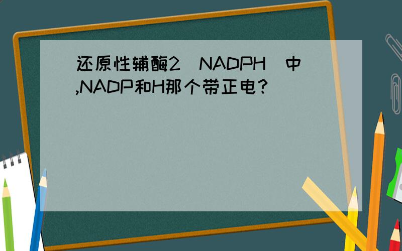 还原性辅酶2(NADPH)中,NADP和H那个带正电?