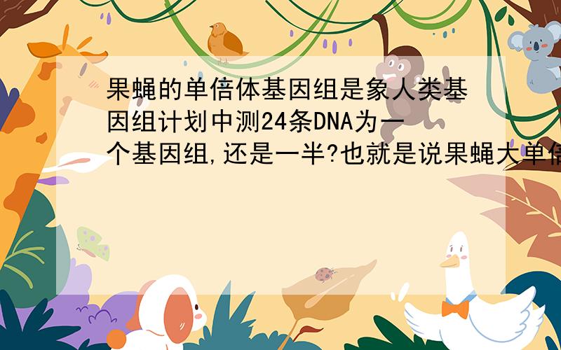 果蝇的单倍体基因组是象人类基因组计划中测24条DNA为一个基因组,还是一半?也就是说果蝇大单倍体基因组应该是5条双链DNA分子还是4条?
