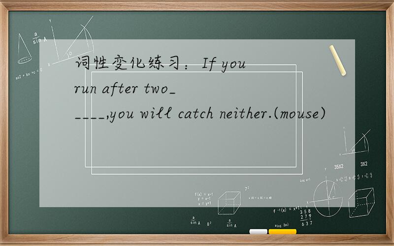 词性变化练习：If you run after two_____,you will catch neither.(mouse)