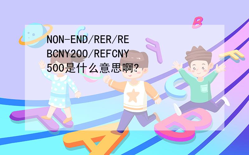 NON-END/RER/REBCNY200/REFCNY500是什么意思啊?