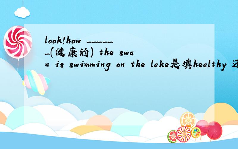 look!how ______(健康的) the swan is swimming on the lake是填healthy 还是healthily