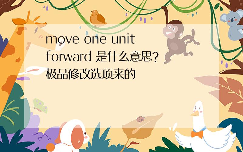 move one unit forward 是什么意思?极品修改选项来的
