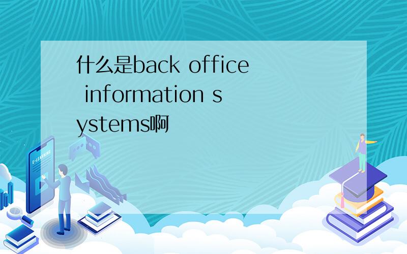 什么是back office information systems啊