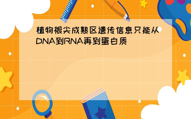 植物根尖成熟区遗传信息只能从DNA到RNA再到蛋白质