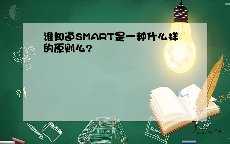 谁知道SMART是一种什么样的原则么?