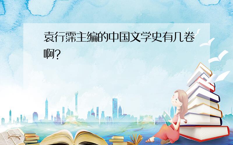 袁行霈主编的中国文学史有几卷啊?