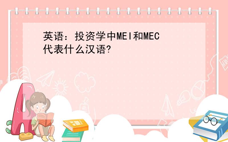 英语：投资学中MEI和MEC代表什么汉语?